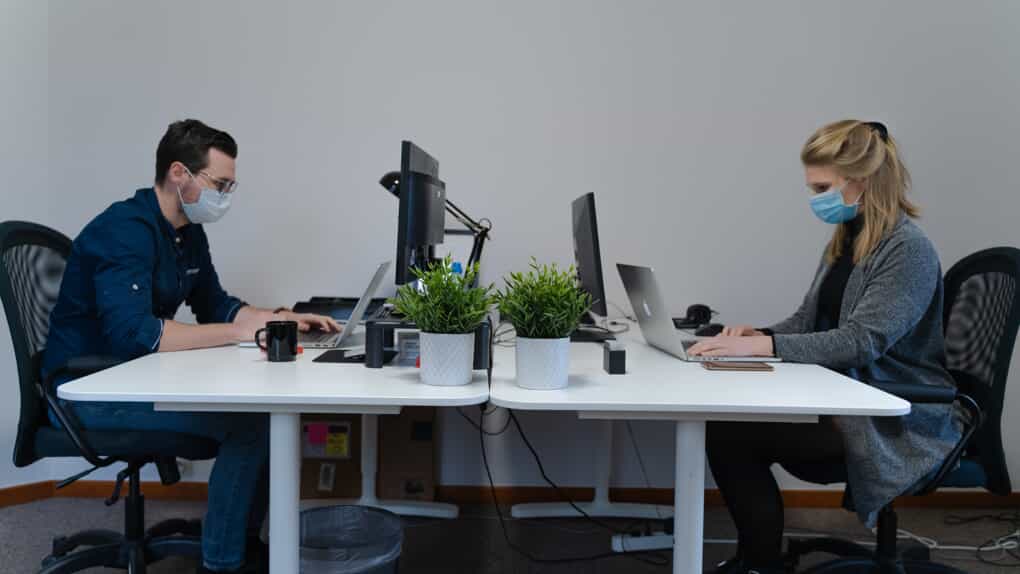 Two people wearing face masks work at adjacent desks with computers in an office. There are potted plants on the desks, and both individuals are focused on their laptops.