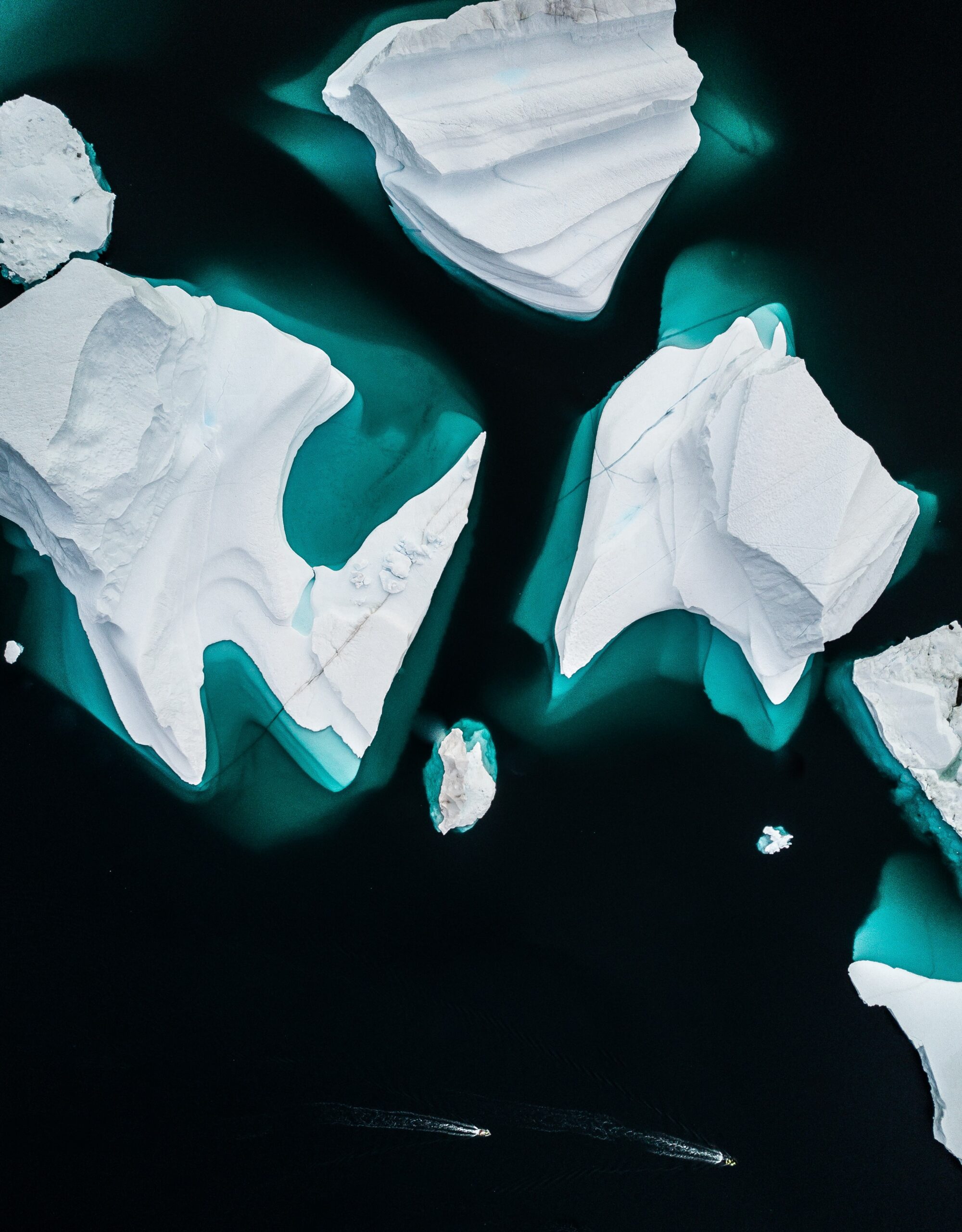 Aerial view of large white icebergs floating in dark blue water, with turquoise edges where the ice meets the sea. Like tax audits, thin boat trails are visible, tracing hidden paths near the bottom of the image.