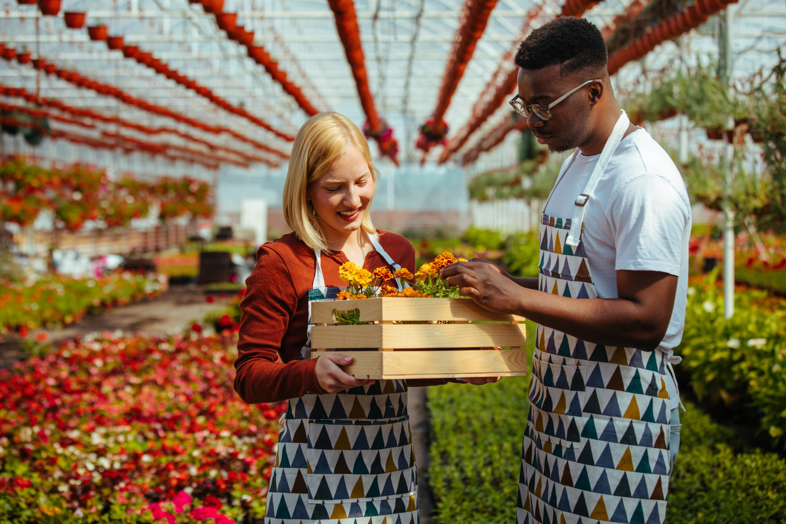 Two people wearing aprons stand in a greenhouse, smiling and holding a wooden crate filled with flowers, surrounded by colorful plants and hanging pots—ready for bartering their blooms.